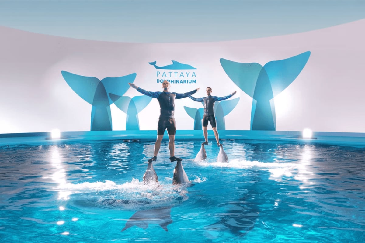 Pattaya Dolphinarium