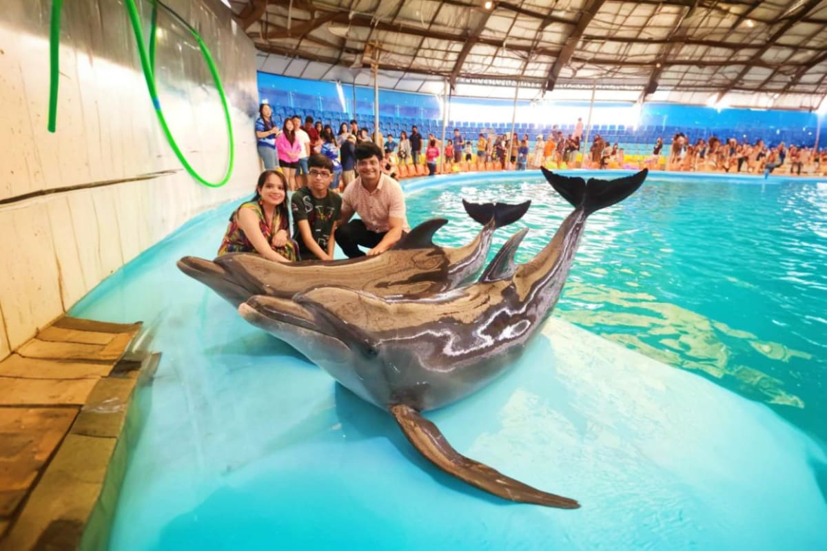 Pattaya Dolphinarium