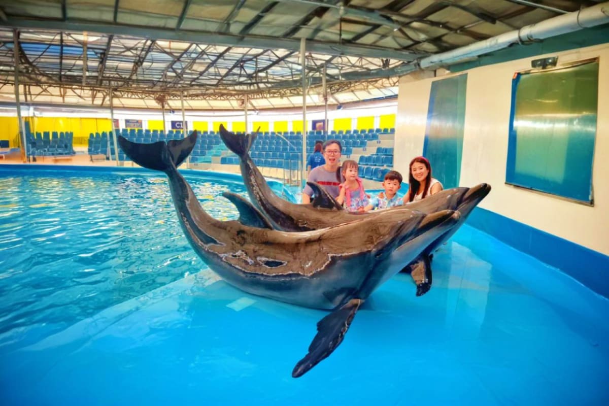 Pattaya Dolphinarium