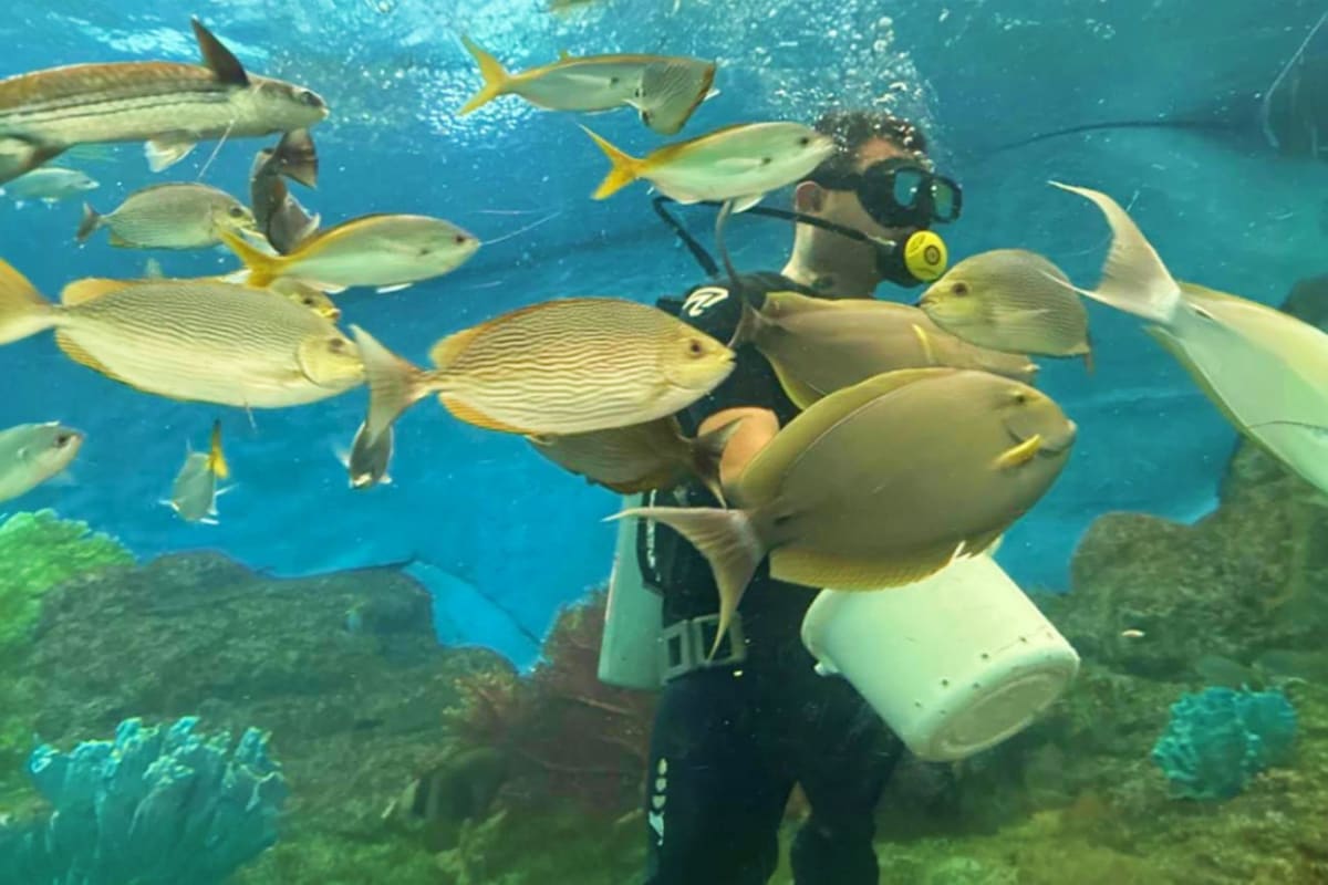 Pattaya Underwater World