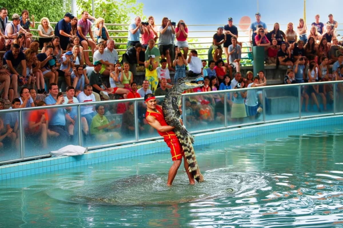 The Million Years Stone Park And Pattaya Crocodile Farm Pattaya