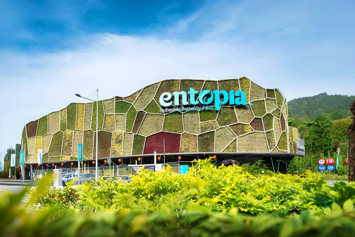 Entopia by Penang Butterfly Farm Ticket