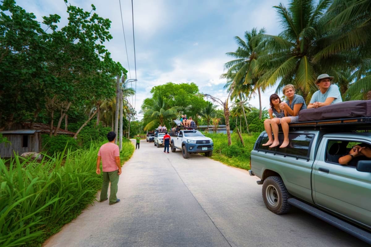 Jungle Safari Tour Jungle Safari Tour