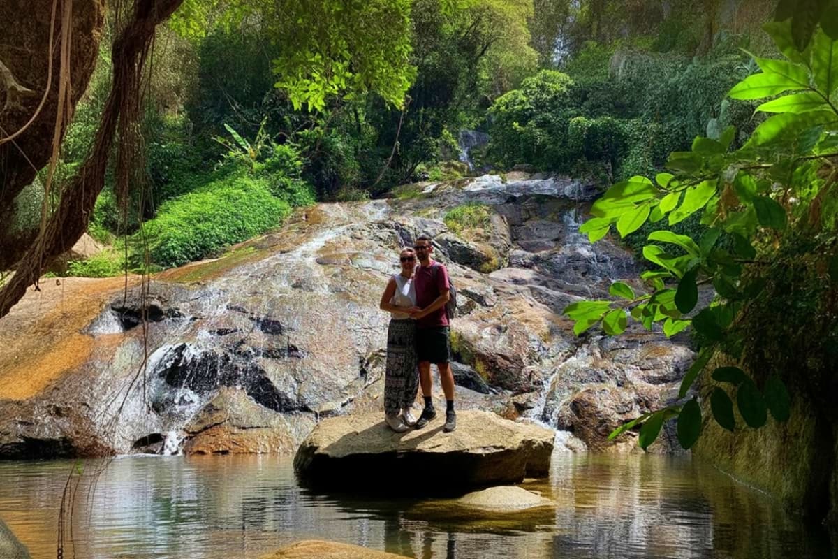 Jungle Safari Tour Jungle Safari Tour