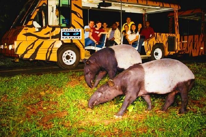 Arrival in Singapore – Night Safari Arrival in Singapore – Night Safari