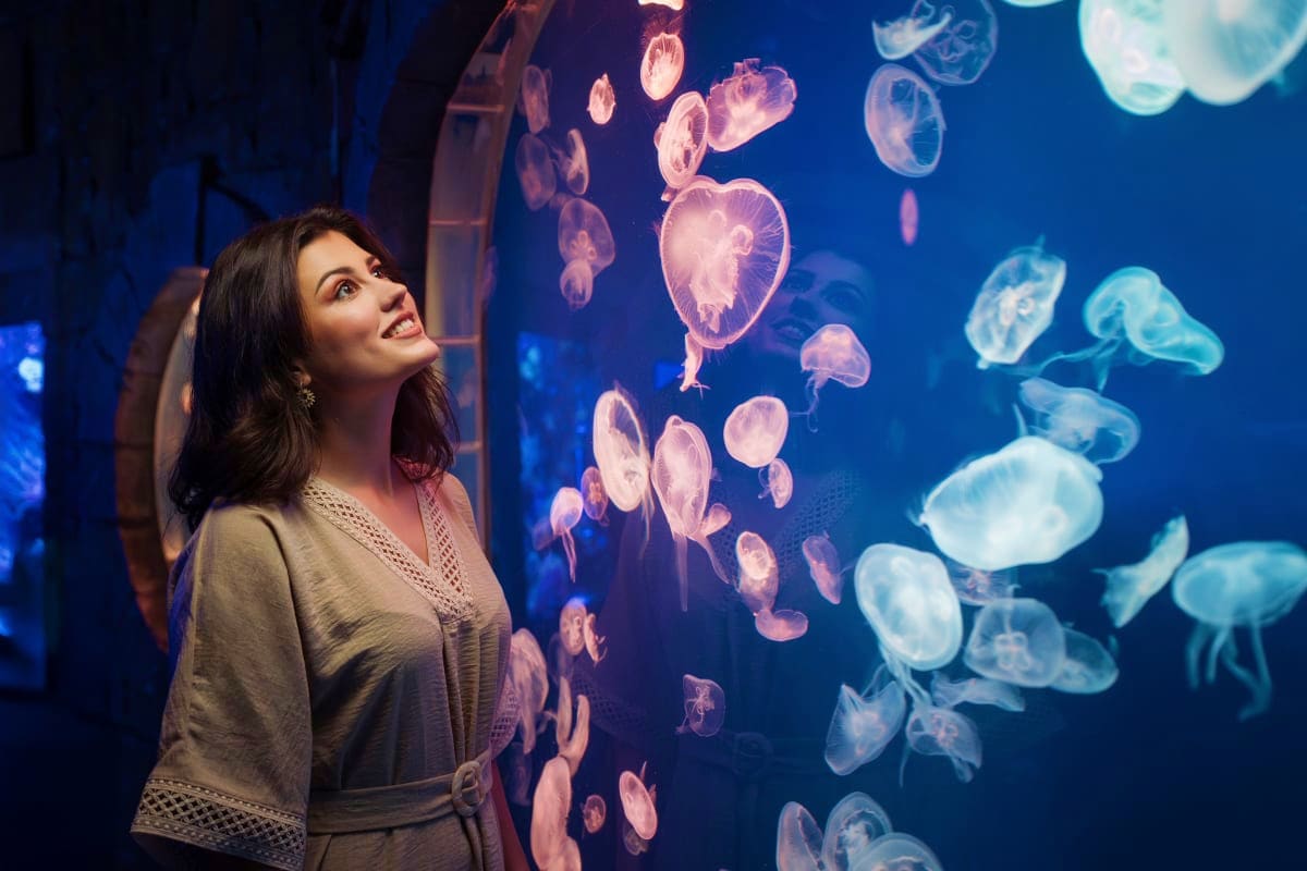 Dubai Aquarium and Underwater Zoo