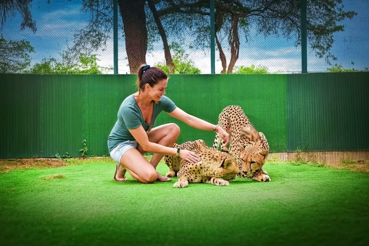Phuket Tiger Kingdom