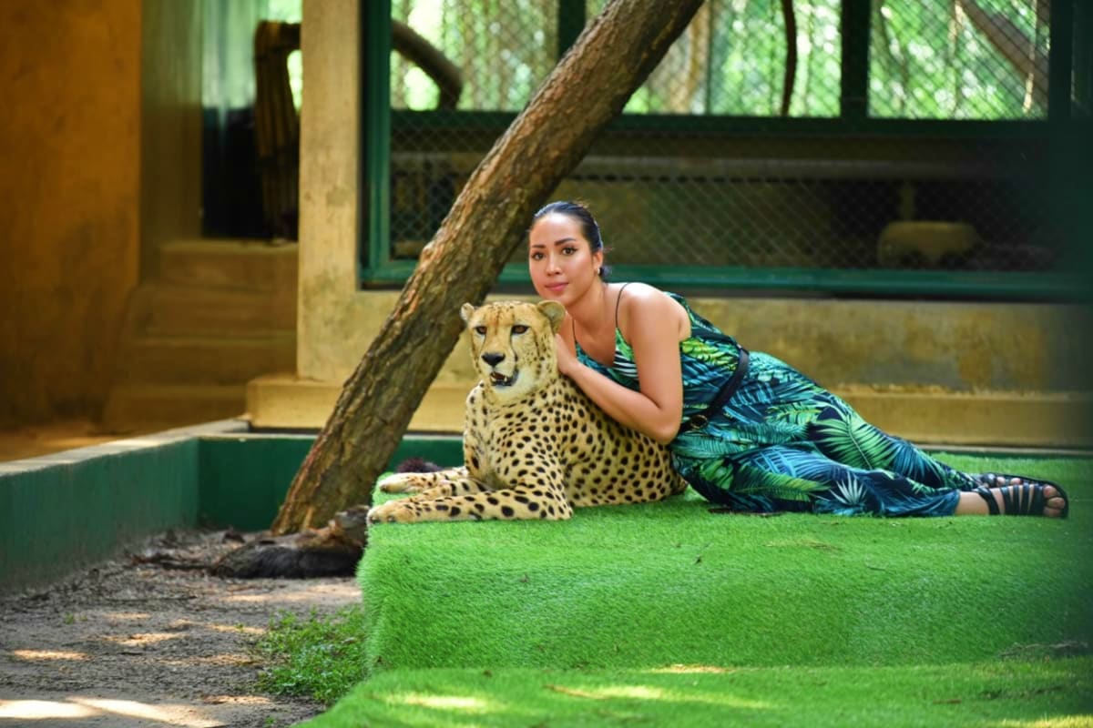 Phuket Tiger Kingdom