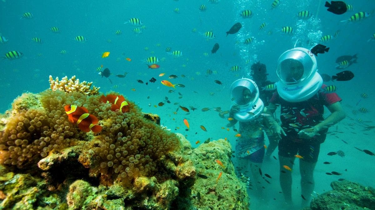 Excursion to Ross Island & North Bay Island (coral viewing, water sports) 