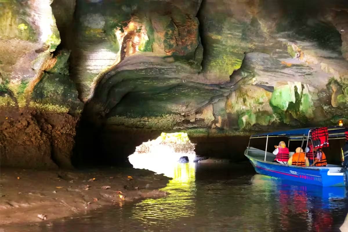 Langkawi Mangrove Tour with Shared Boat
