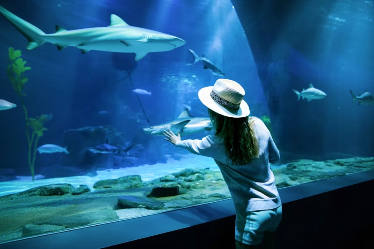 Langkawi Under Water World Langkawi Under Water World Ticket