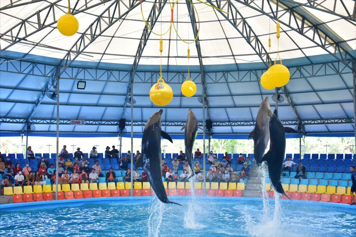 Phuket Dolphin Bay Phuket Dolphin Bay