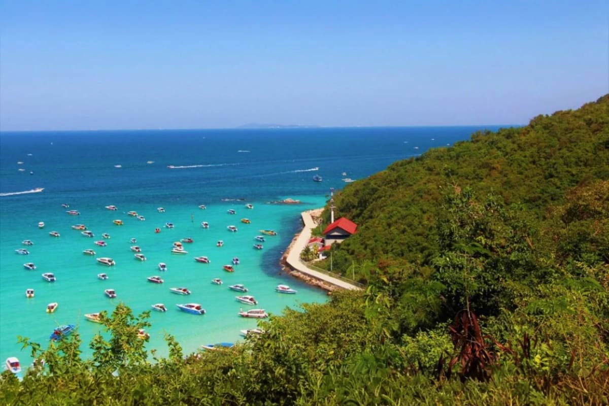 Coral Island with lunch Pattaya