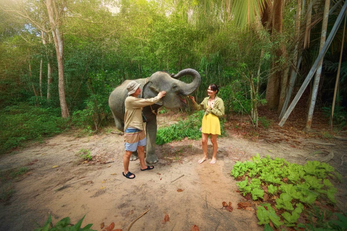 Elephant Wildlife Sanctuary Phuket