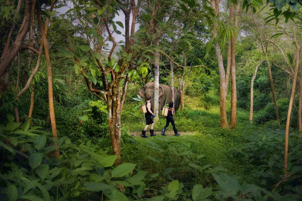 Elephant Wildlife Sanctuary Phuket