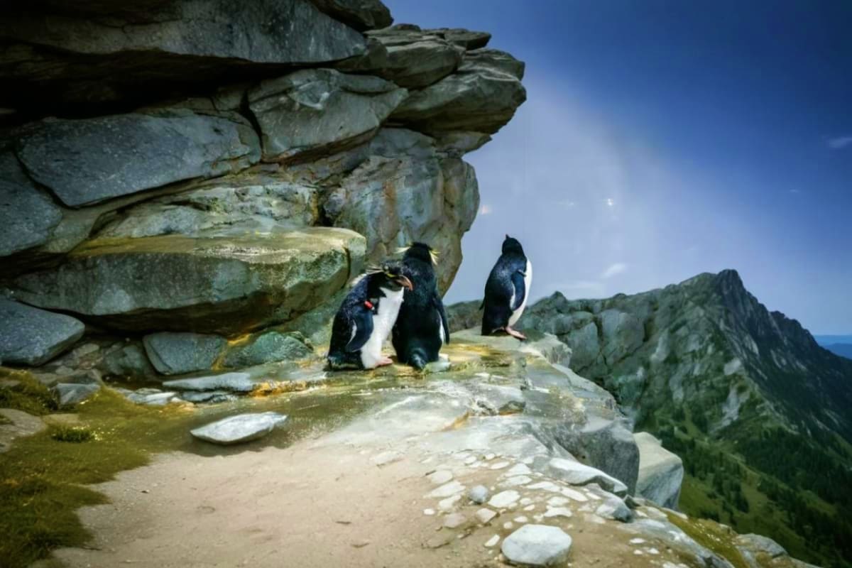 Langkawi Under Water World Langkawi Under Water World Ticket