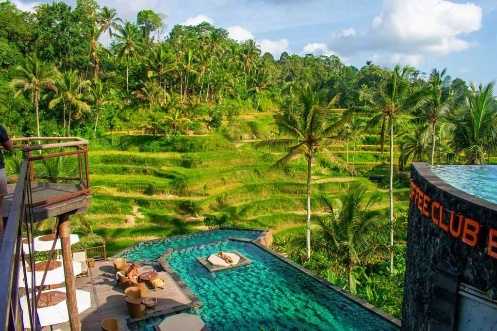 Arrival in Bali and Transfer to Ubud 