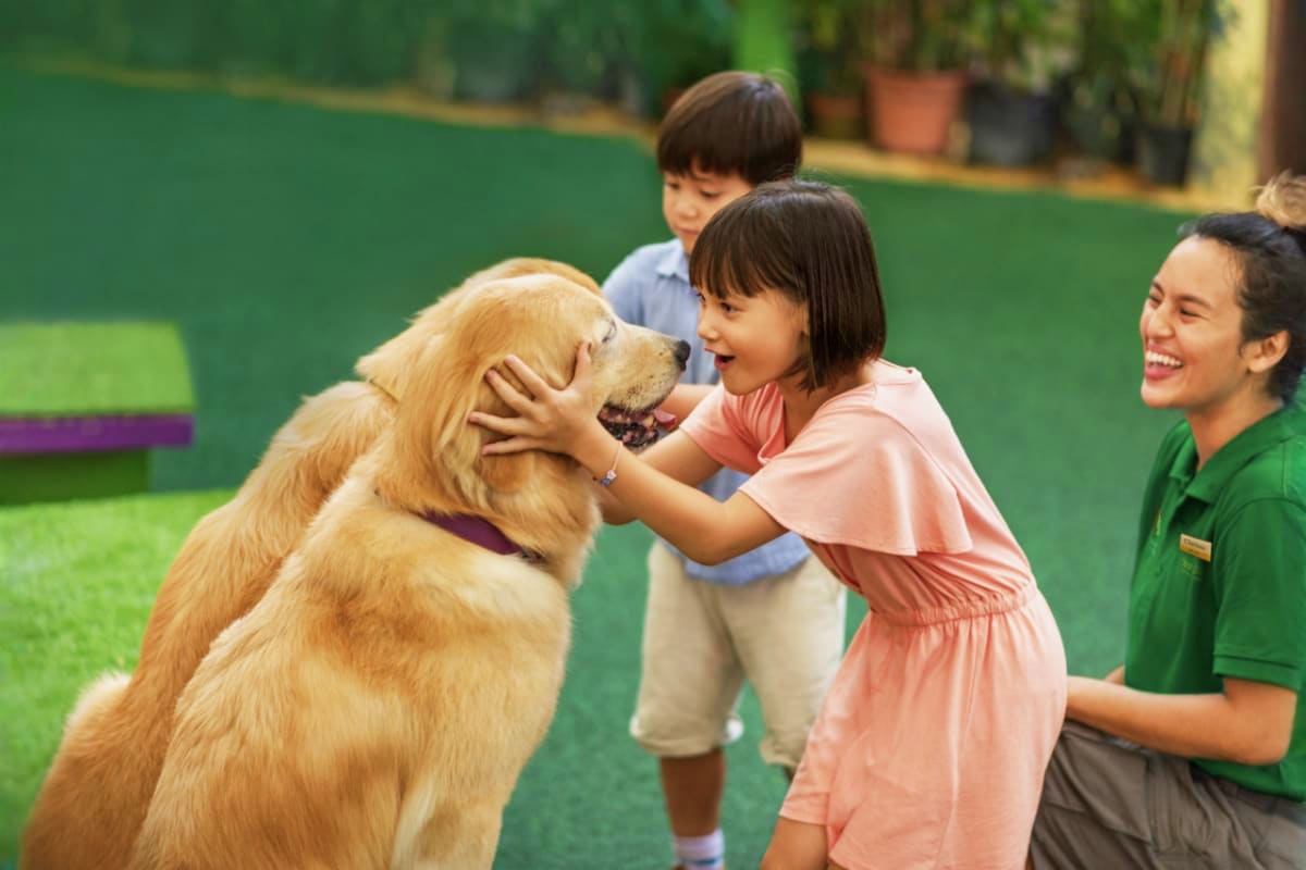 Singapore Zoo with Tram Ride zoo-in-singapore