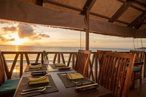 Coral Strand Smart Choice or similar