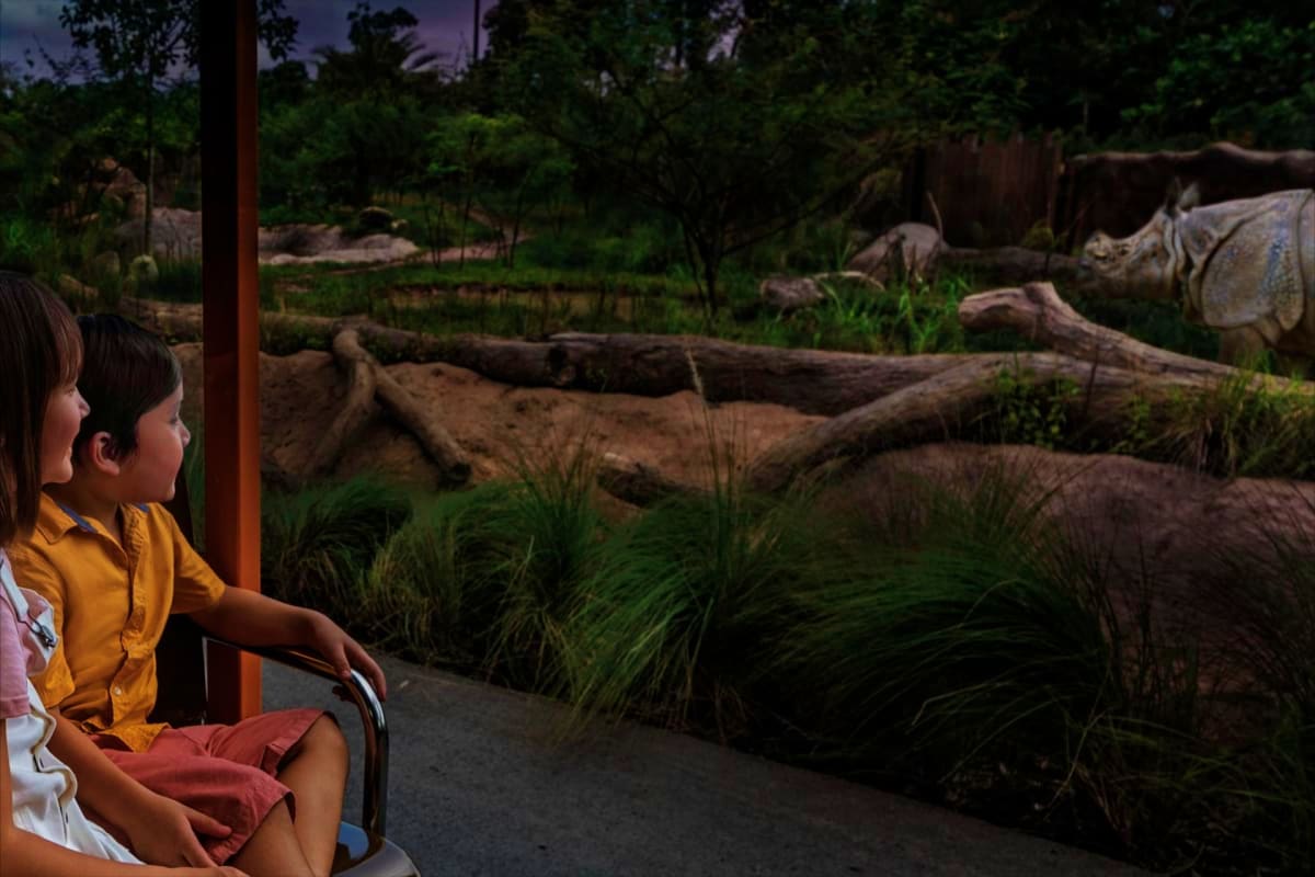 Singapore Night Safari