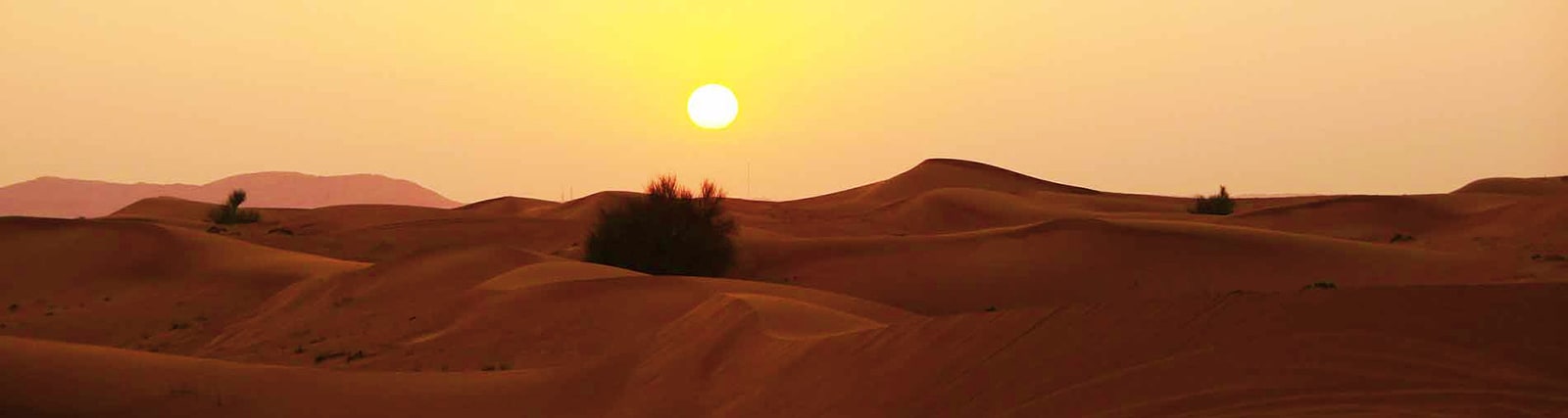 Liwa Safari liwa-safari-abudhabi-background