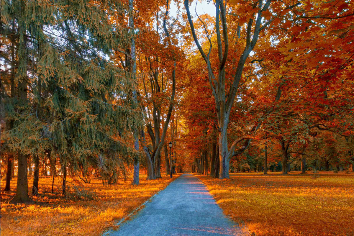 Nesvizh Palace & Gardens