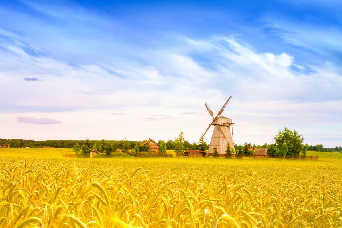 Dudutki Cultural Village