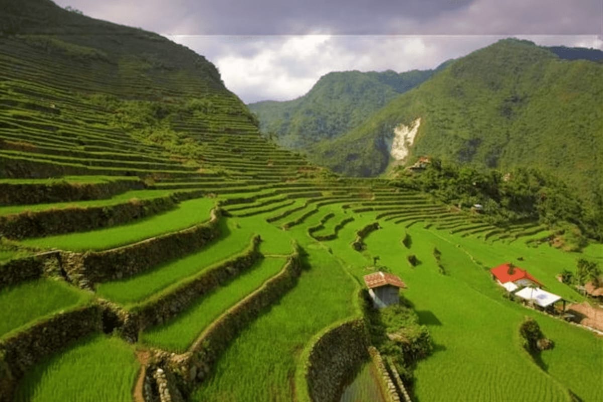 Manila city tour, Banaue Rice Terraces and Boracay Tour