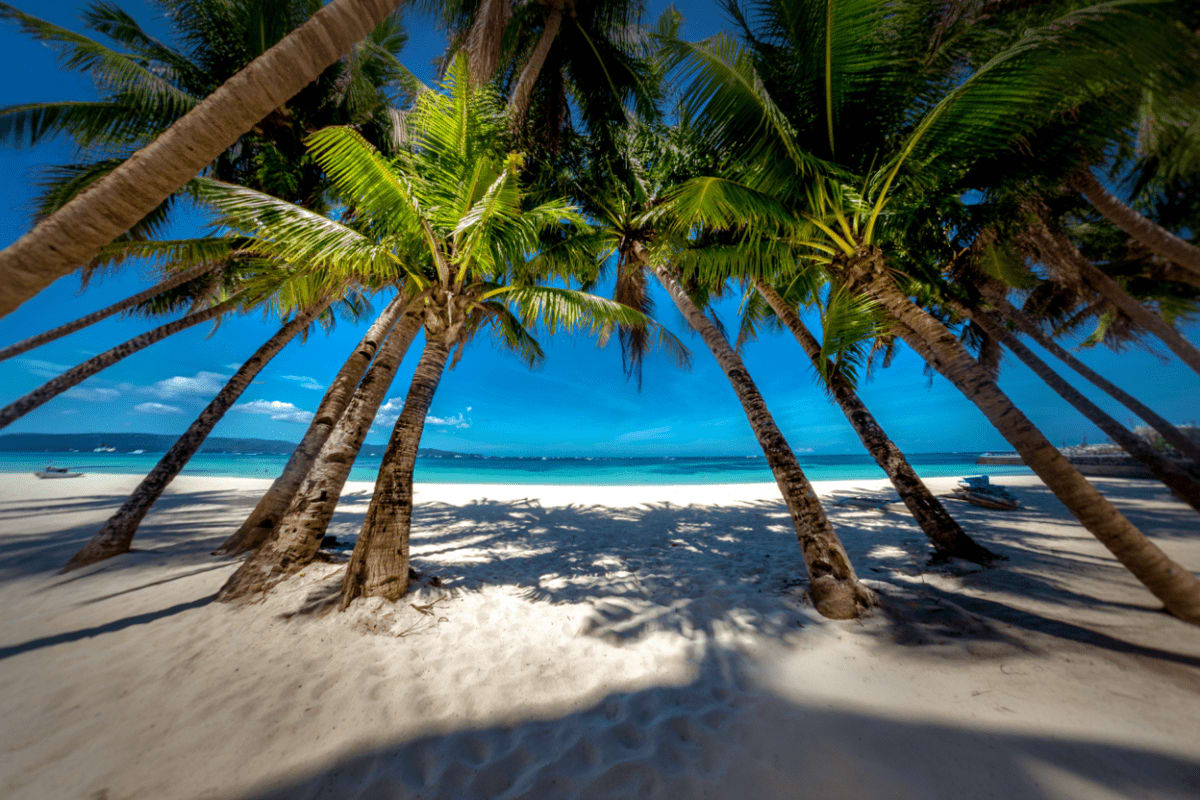 Manila city tour, Banaue Rice Terraces and Boracay Tour