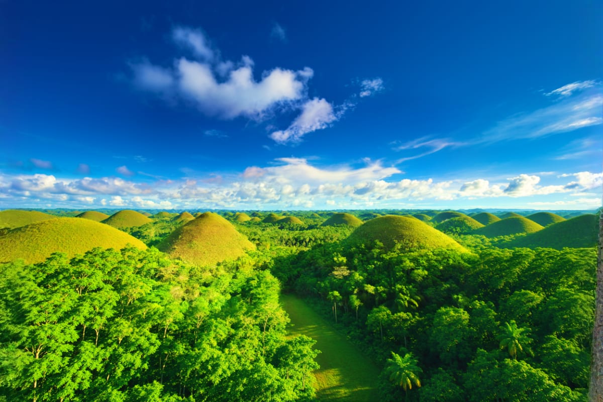 Cebu and Bohol Highlights Tour with Chocolate Hills Tarsier Sanctuary and Loboc River Cruise