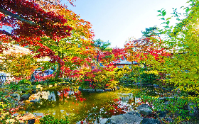 NAGANO - MONKEY PARK - KUSATSU – IKAHO