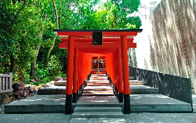 MATSUYAMA - KOTOHIRA - TAKAMATSU - NARUTO – KOBE MATSUYAMA - KOTOHIRA - TAKAMATSU - NARUTO – KOBE