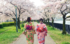 KYOTO - NARA – OSAKA