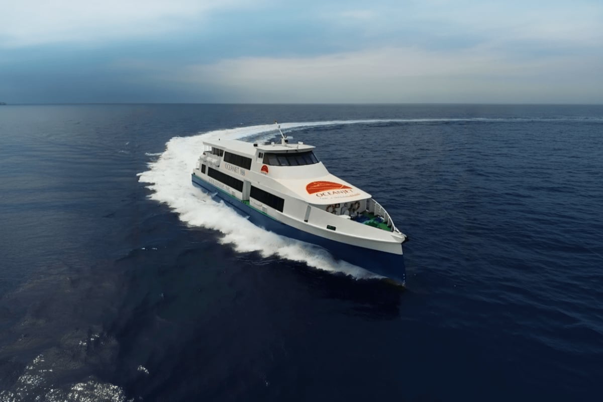 Cebu and Bohol Highlights Tour with Chocolate Hills Tarsier Sanctuary and Loboc River Cruise