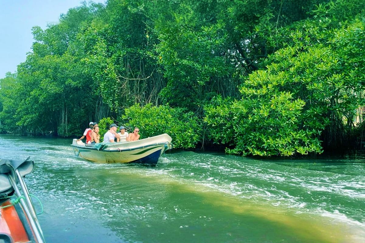Madu River Boat Safari