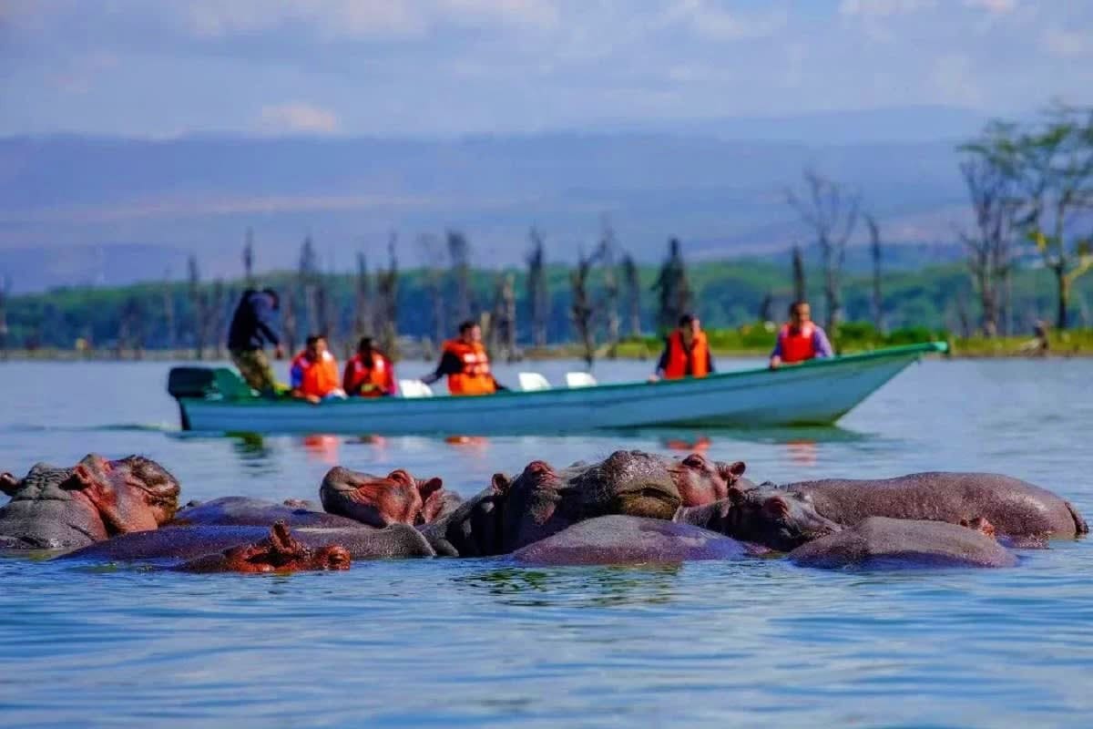 Safari Bliss Kenya Weekly Departure 8