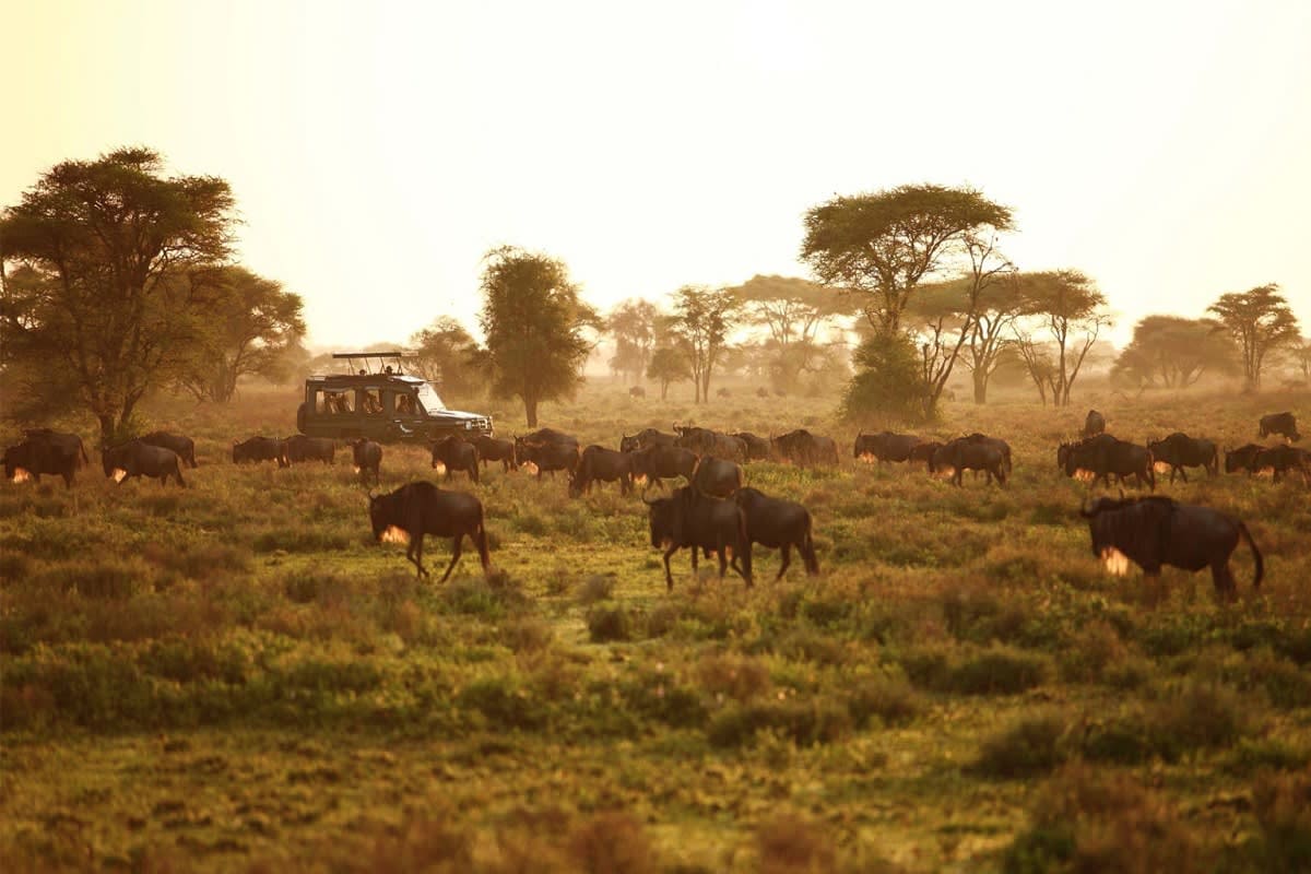 Safari Bliss Kenya Weekly Departure 6