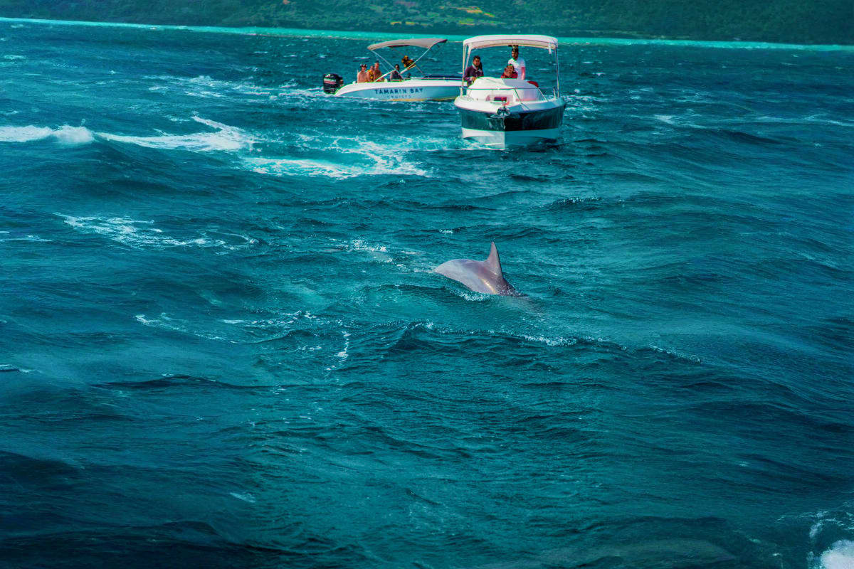 Escape to Mauritius mounichy