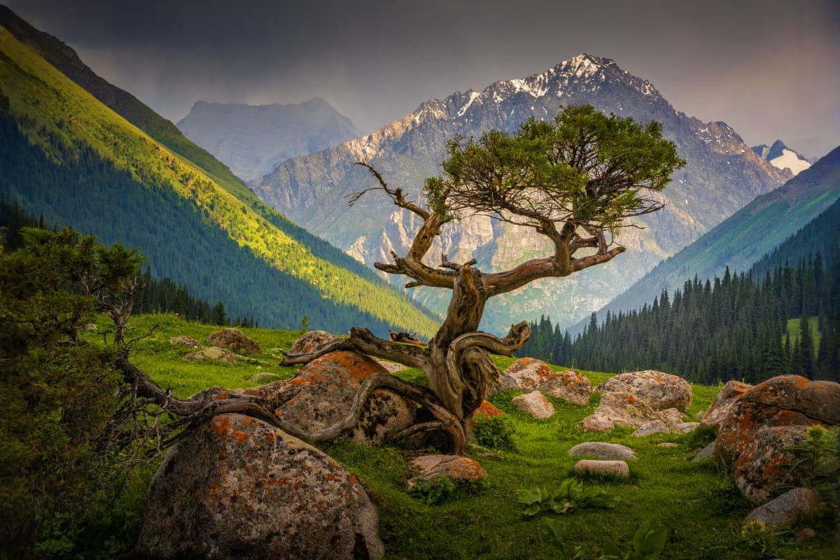 Kyrgyzstan Family Gateway Land scape