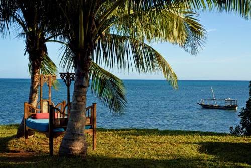 Safari Blue Excursion Safari Blue Excursion