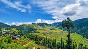 Punakha to Phobjikha Punakha to Phobjikha