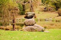 Punakha or Wangdue to Paro via Lamperi Punakha or Wangdue to Paro via Lamperi