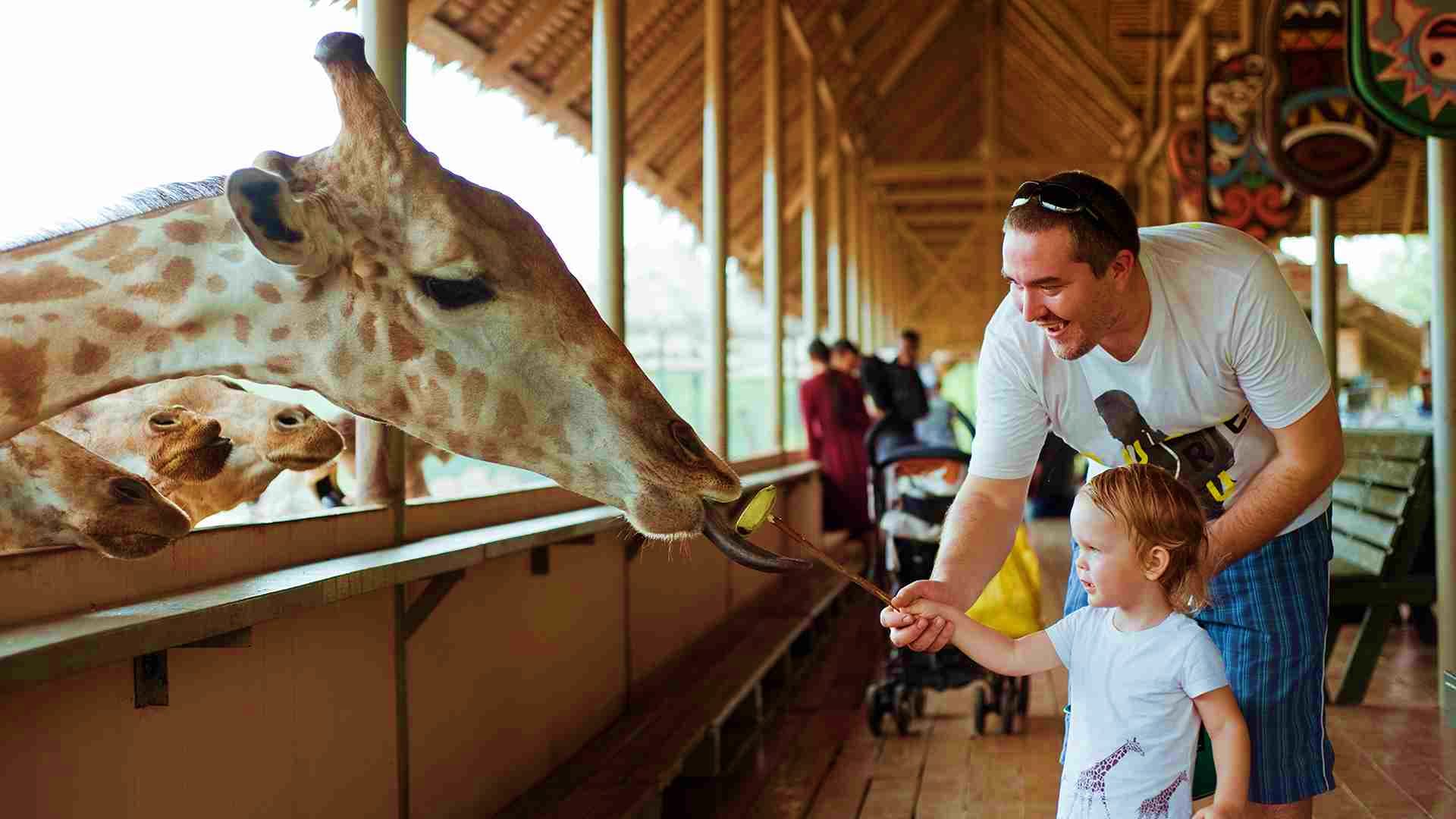 Safari World & Marine Park with Lunch