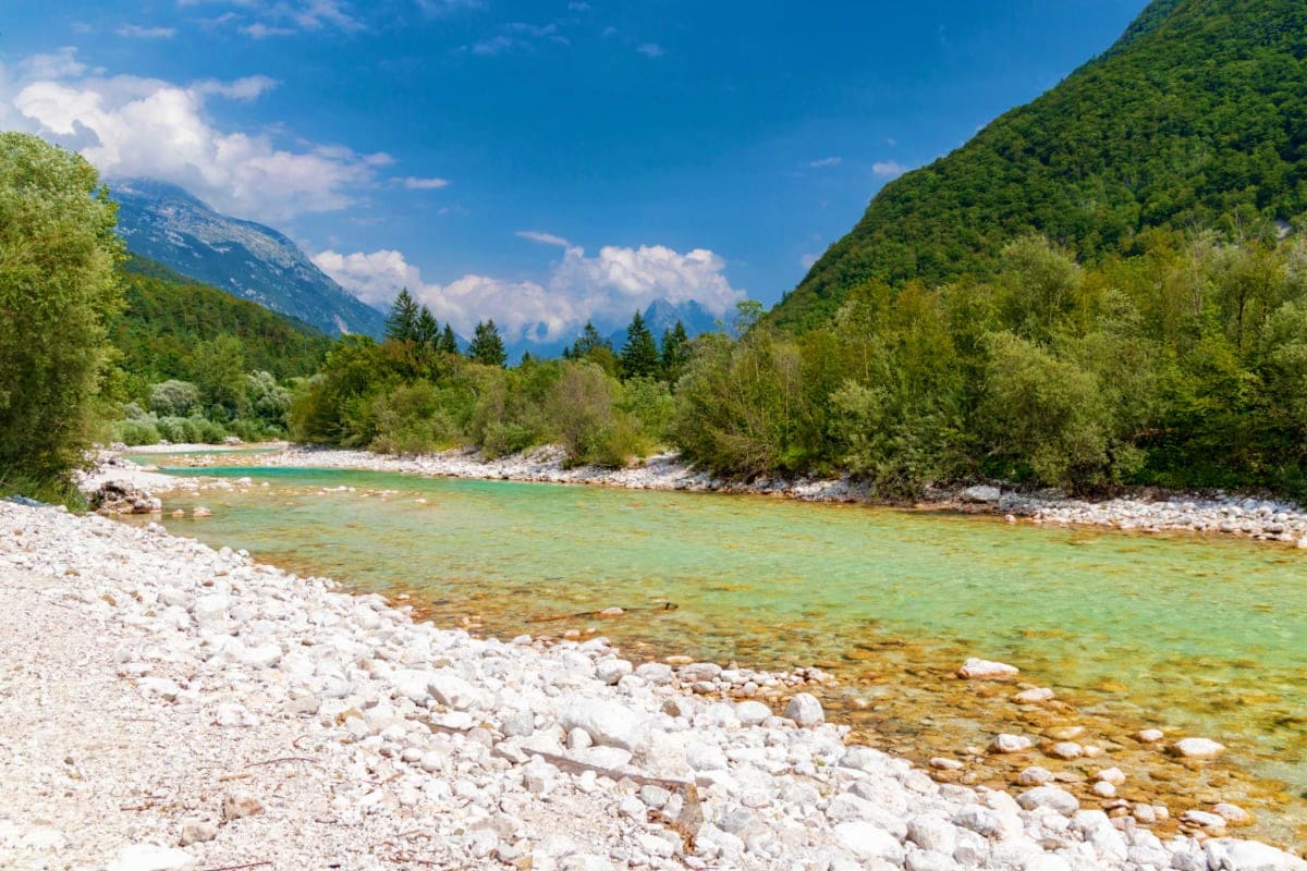 Triglav National Park Forest Trail Walk 2