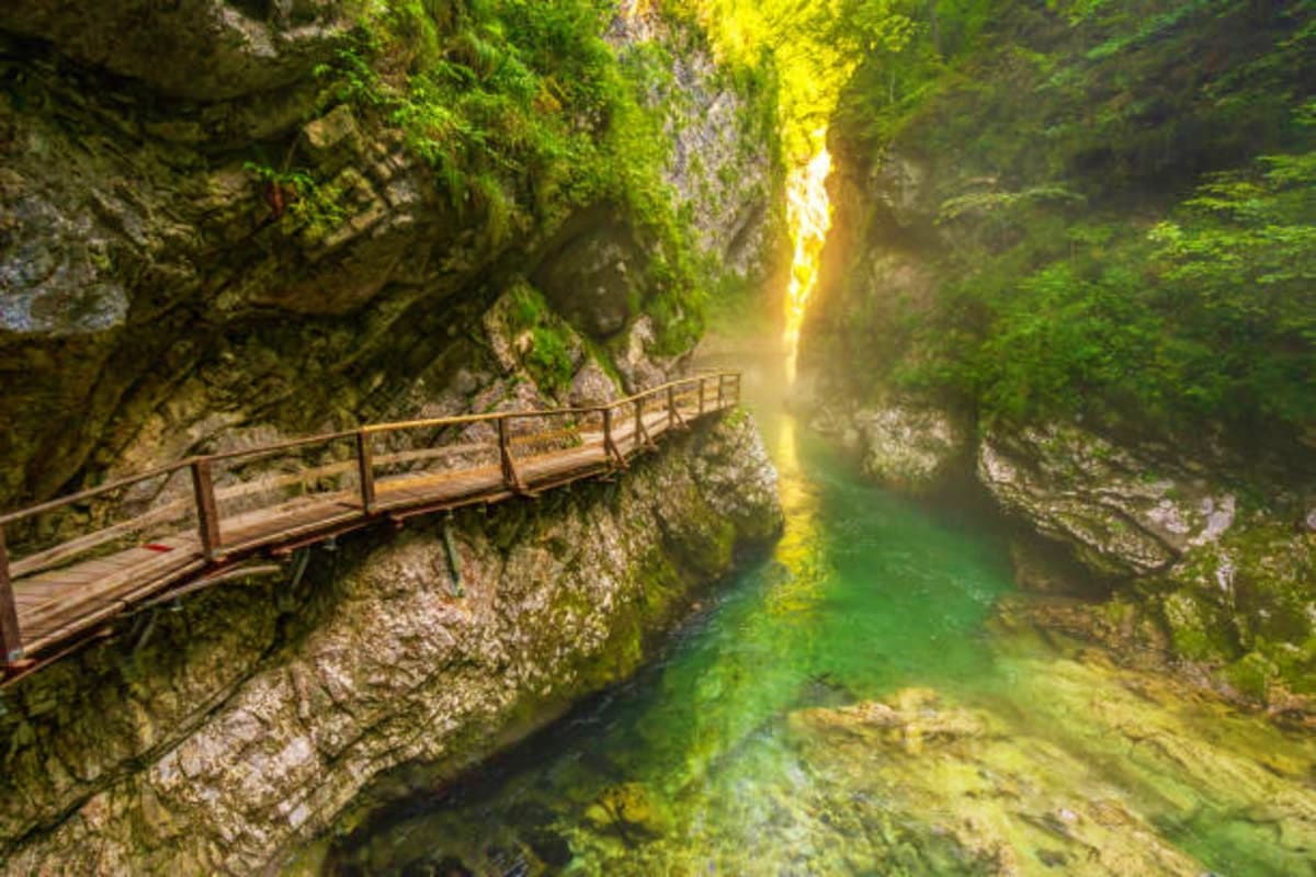 Vintgar Gorge wooden pathway through river gorge)