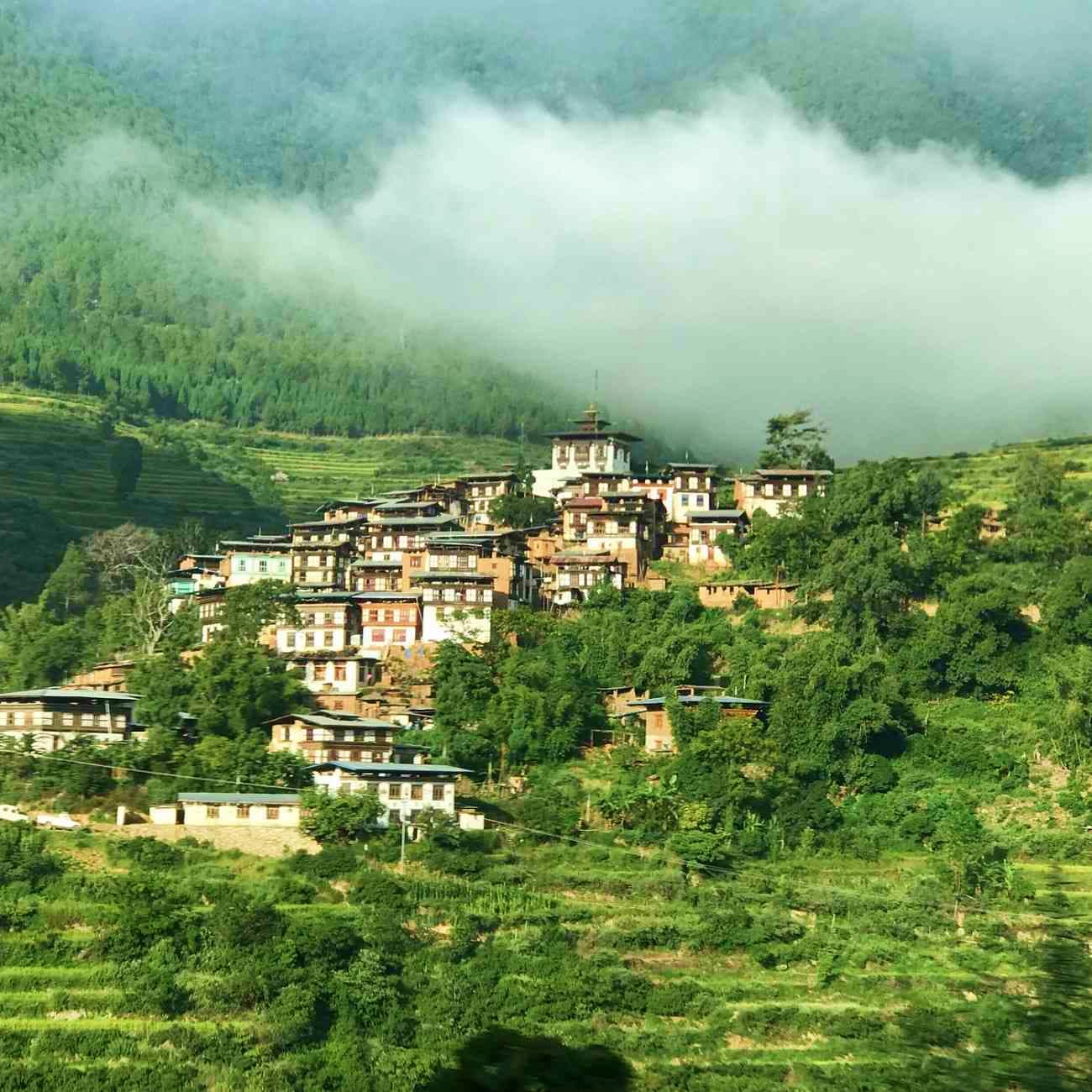 Thimphu to Punakha Thimphu to Punakha