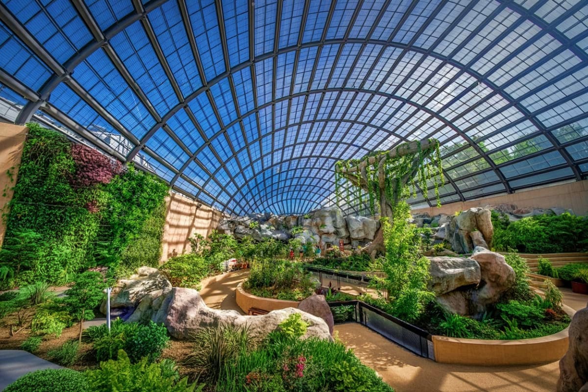 Entopia by Penang Butterfly Farm Entopia by Penang Butterfly Farm Ticket