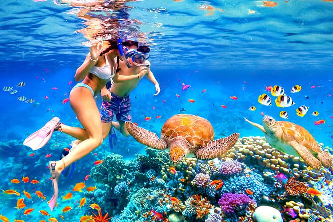 Mnemba Island Snorkeling Tour Mnemba Island Snorkeling Tour
