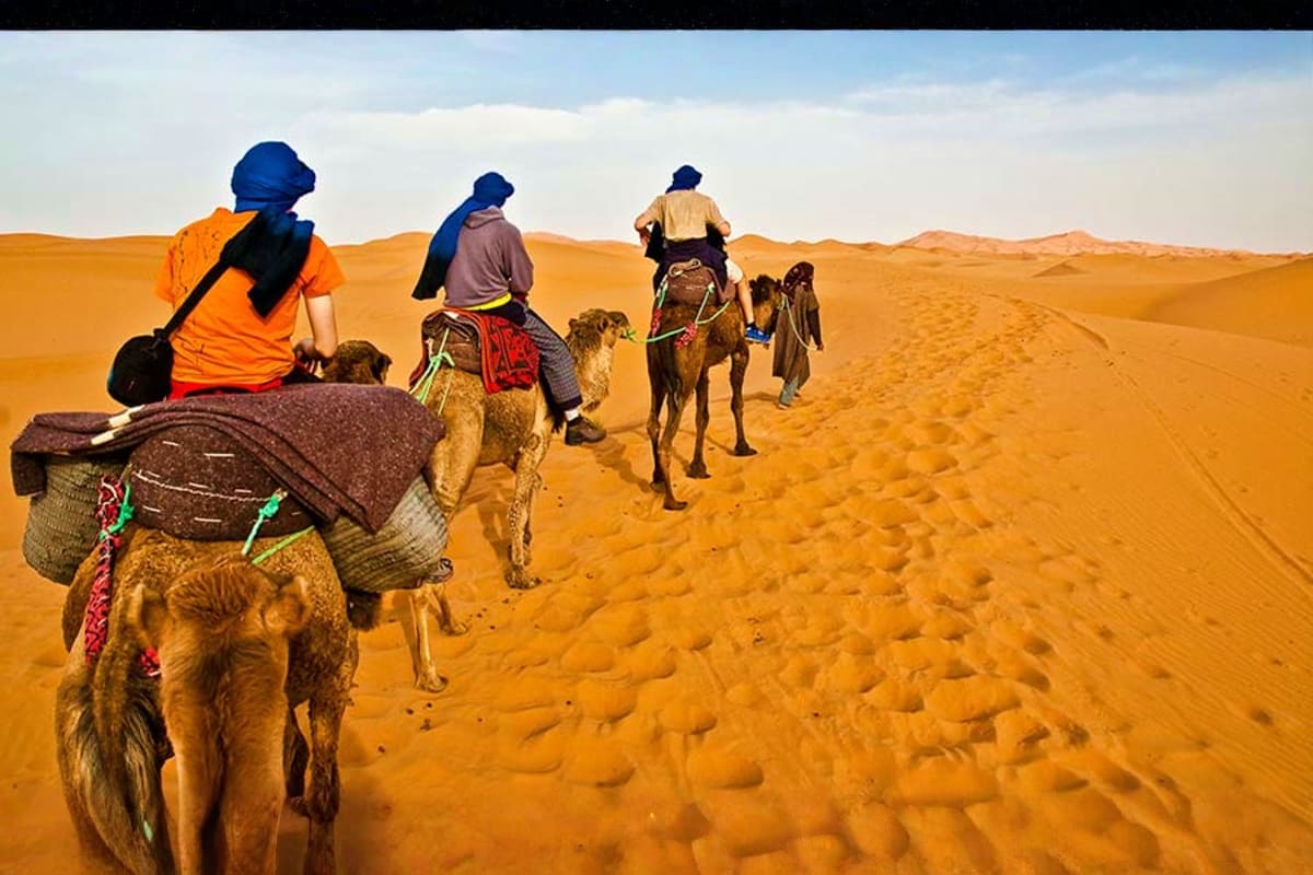 Dinner in Desert Ras Al Khaimah camel-trekking