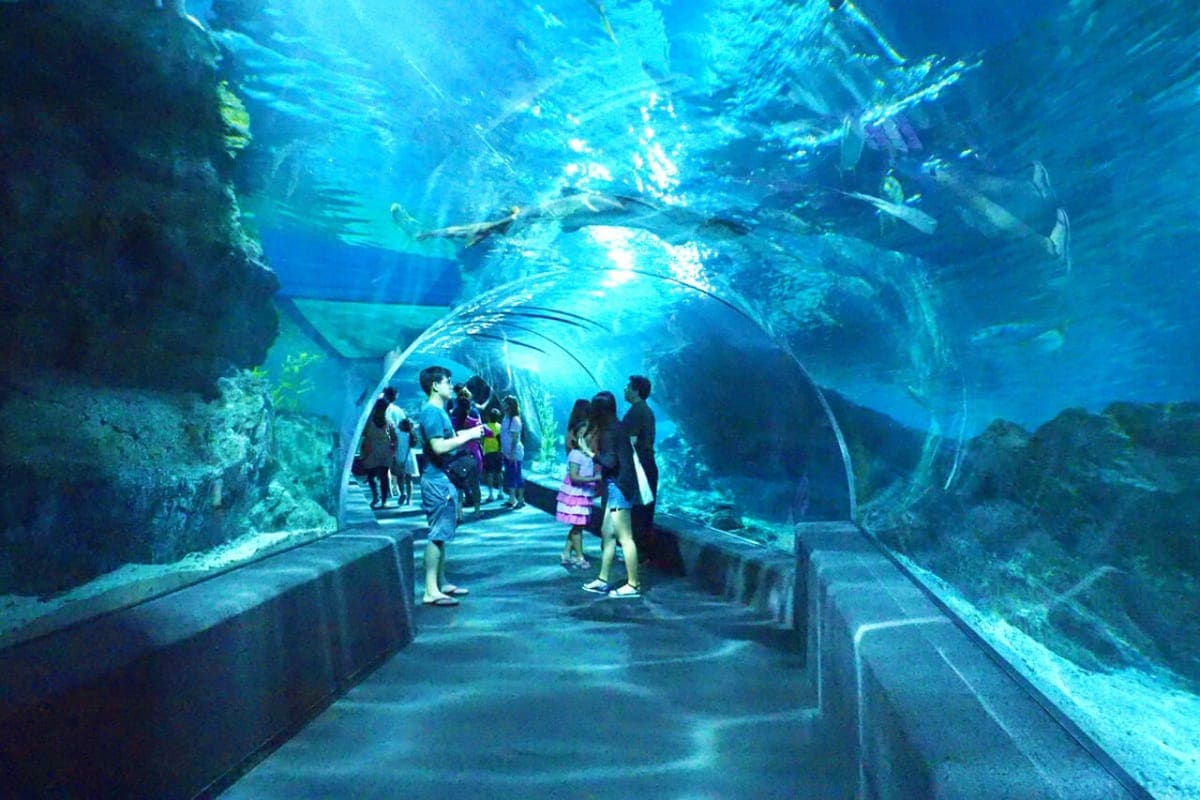 Sealife Aquarium thailand